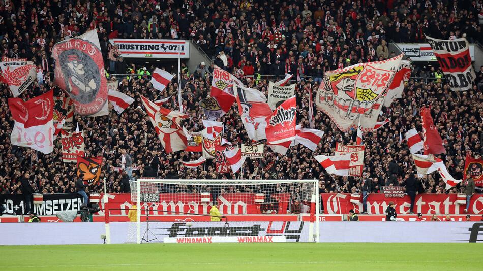 VfB Stuttgart, Champions League, Fussball, Belgrad