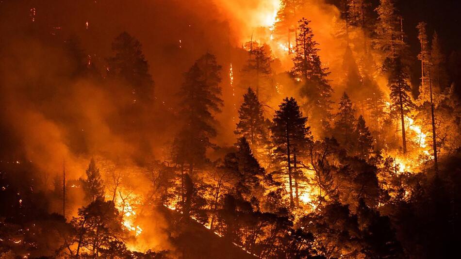 Waldbrand in Kalifornien 2021