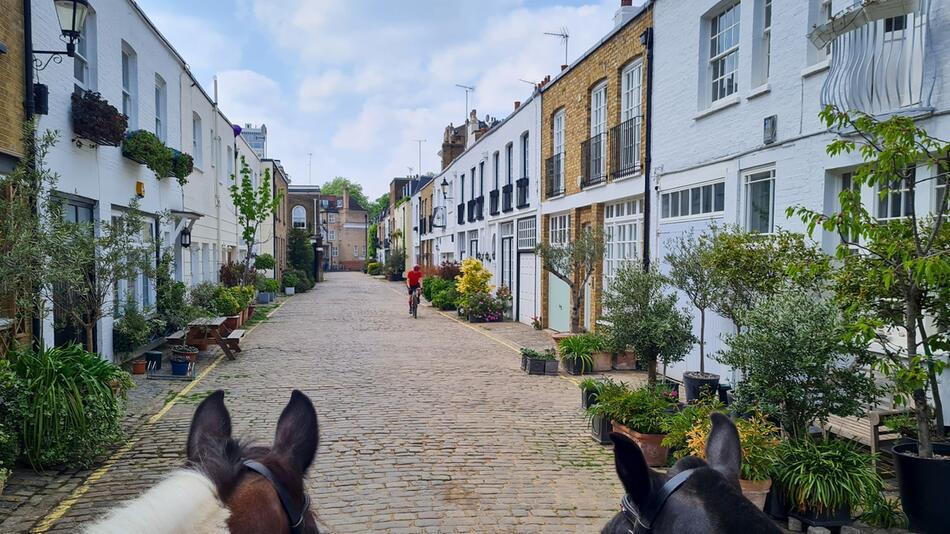 Mit dem Pferd durch die Hyde Park Gardens Mews