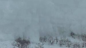 Schrecksekunde: Lawine kracht in der Schweiz auf Zug