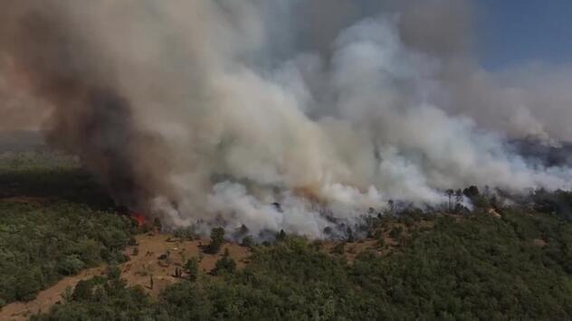 Waldbrand in Serbien: Belgrad ruft EU zu Hilfe