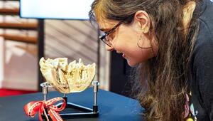 20 Jahre Gubener Plastinate und Plastinarium