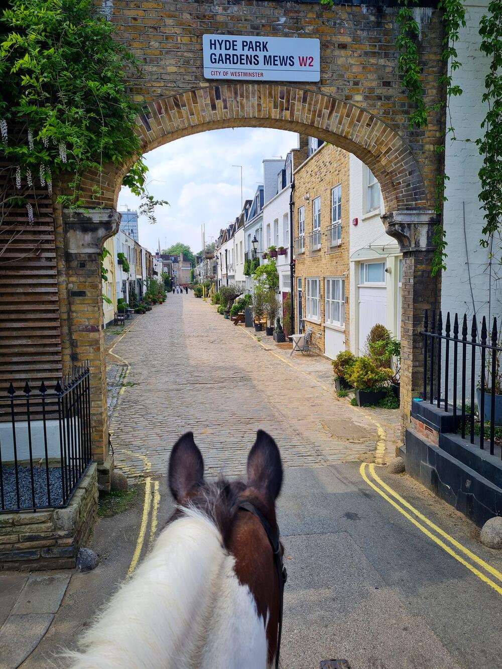 Mit dem Pferd zum Hyde Park Gardens Mews