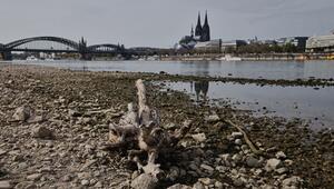 Niedrigwasser am Rhein in Köln