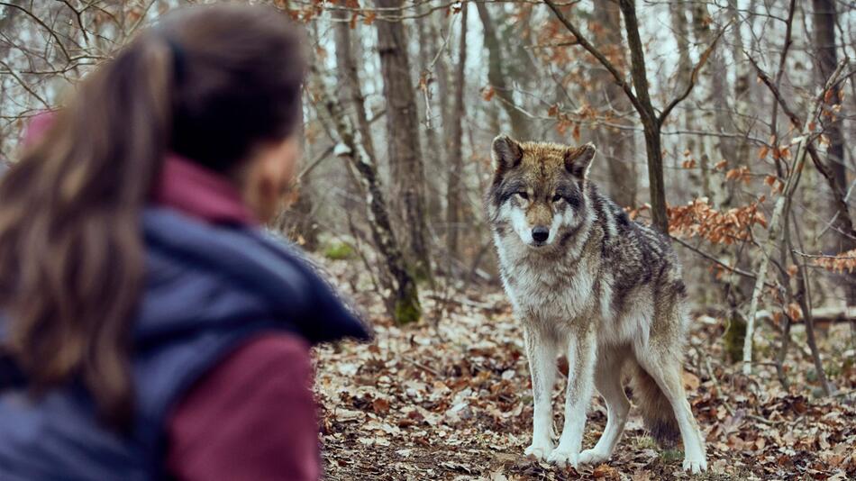 TV-Ausblicke "Wolfsland - Schwarzer Spiegel"