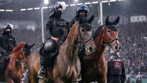Polizeipferde