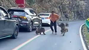 Tiere blockieren Strasse: Wilde Affen wollen Touristen die Hose runterziehen