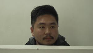 Kenia: Ameisen-Schmuggler am Flughafen festgenommen