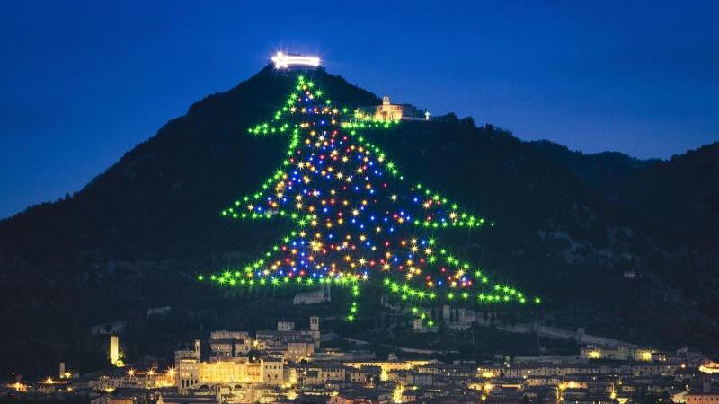 «Albero di Natale»