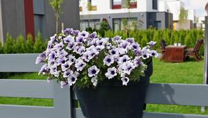 Ein Plastiktopf mit einem Blumenstrauss, der an einem Zaun hängt.