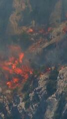 Menschen fliehen vor Waldbrand in Kroatien