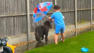 Selbstloser Hundefreund: Junge hält Regenschirm über Vierbeiner