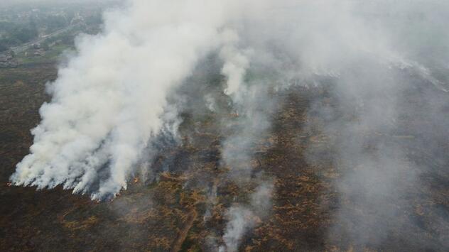 Waldbrände in Indonesien