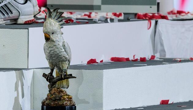 Bei der Meisterfeier in der Allianz Arena erlebt eine Kakadu-Figur seinen grössten Moment.