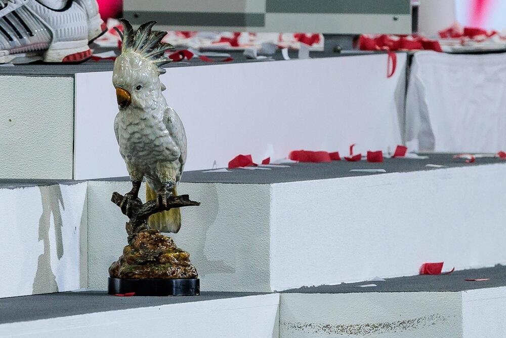 Bei der Meisterfeier in der Allianz Arena erlebt eine Kakadu-Figur seinen grössten Moment.