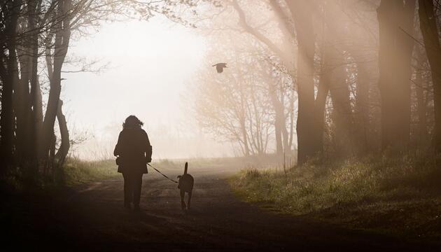 Morgenstimmung in Brandenburg