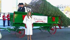 Weihnachtsstart im Weissen Haus: Melania Trump empfängt offiziellen Weihnachtsbaum