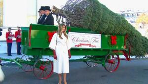 Weihnachtsstart im Weissen Haus: Melania Trump empfängt offiziellen Weihnachtsbaum