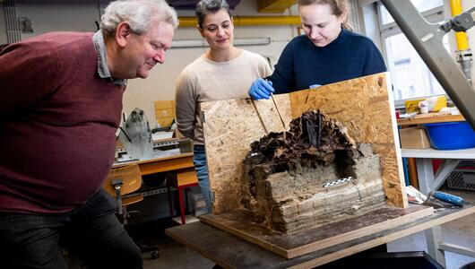 10.500 Jahre alter Auerochsenschädel