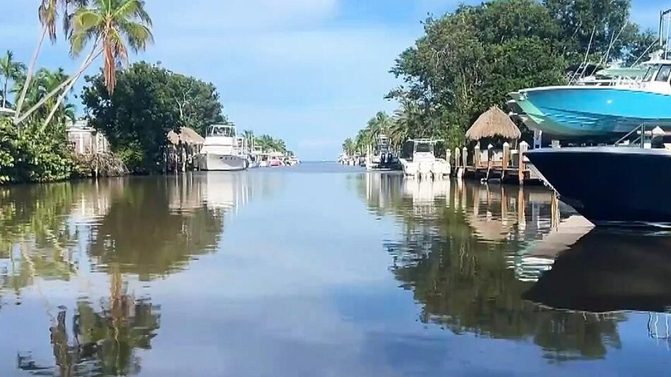 Hai-Attacke in Florida: Raubfisch beisst Achtjährigen beim Schnorcheln