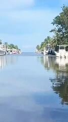 Hai-Attacke in Florida: Raubfisch beisst Achtjährigen beim Schnorcheln
