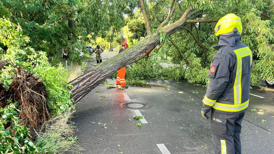 Gewitter in Berlin und Brandenburg