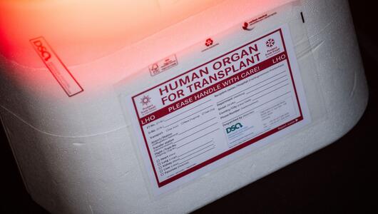 Illustration - Organspende