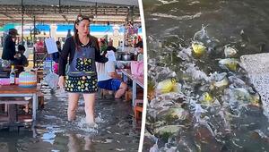 Fische um die Füsse: Überflutetes Restaurant in Thailand serviert Nudeln im Hochwasser
