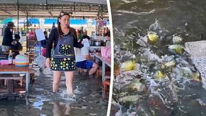 Fische um die Füsse: Überflutetes Restaurant in Thailand serviert Nudeln im Hochwasser