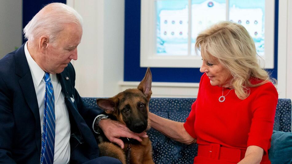 Schäferhund Commander kam 2021 als Welpe zu den Bidens.