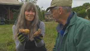 Katja und Johann ernten bei "Bauer sucht Frau" herzige Kartoffeln.