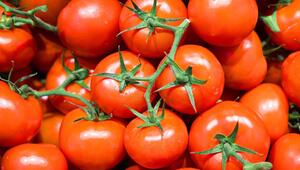 Tomaten roh oder gekocht essen