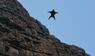 Deutscher Wingsuit-Flieger tödlich verunglückt