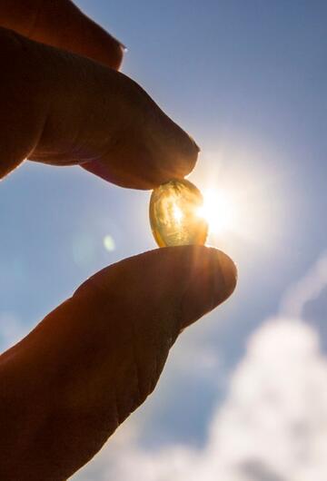 Vitamin D, Sonne, Körper, Knochen, Funktionen, Vitamin-D-Mangel