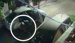 Kuh-Kidnapping: Männer zwängen Wiederkäuer in Indien in Auto