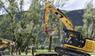 Bagger wird auf Lkw-Anhänger verladen