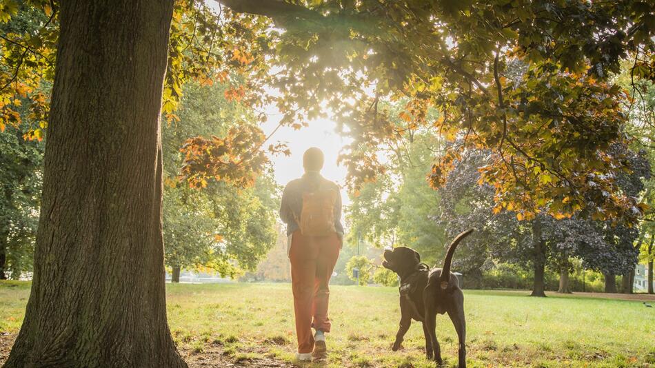 Eine Frau geht mit ihrem Hund im Park spazieren