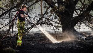 Naturbrände in den Niederlanden