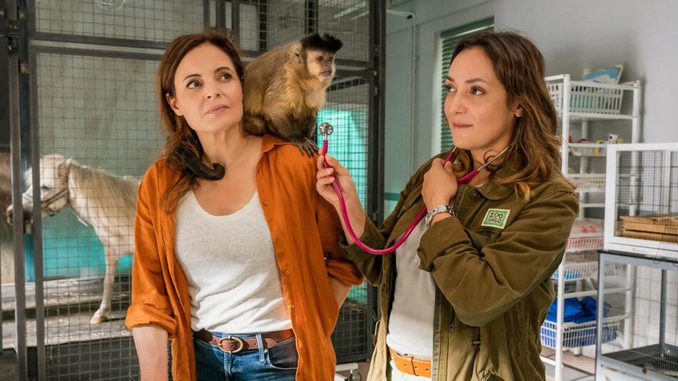 "Tierärztin Dr. Mertens: Keine andere Wahl": Das Tierärztinnen-Duo Dr. Susanne Mertens ...