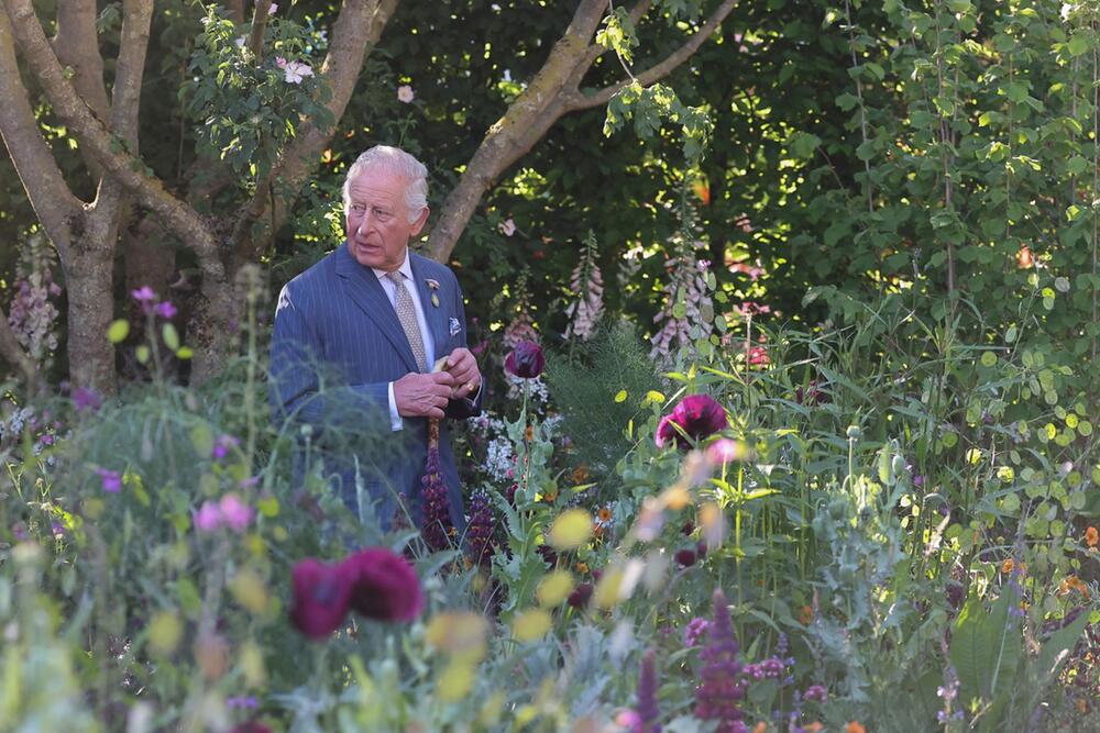 Chelsea Flower Show