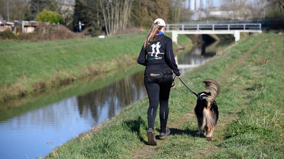 Hund, Joggen