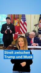 Eskalation zwischen Trump und Musk