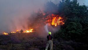 Englische Grafschaft in Flammen: Hunderte Menschen fliehen vor Grossbrand