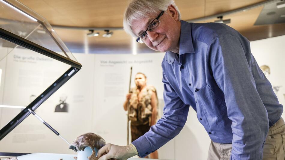 Neandertaler im LVR-LandesMuseum Bonn