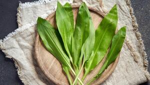 Bärlauch, Frühling, Kräuter, Gewürz, lecker, Essen, Natur, Wald, Essen, Rezepte, 