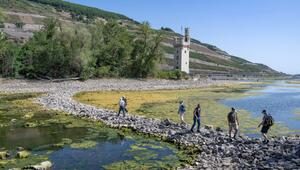 Extremes Niedrigwasser auf dem Rhein