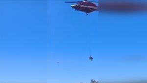 Kalb gerettet: Hubschrauber holt Tier nach 70-Meter-Sturz aus italienischer Schlucht