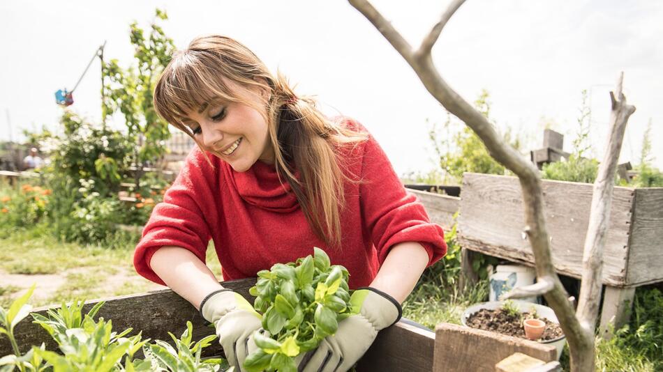 Eine Frau bepflanzt ein Hochbeet