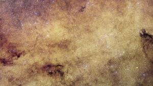 Euclids Blick auf den Galaxienkern unserer Galaxie