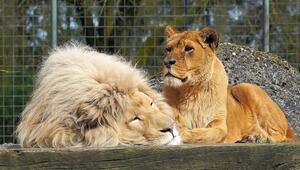 unterschied zoo und tierpark